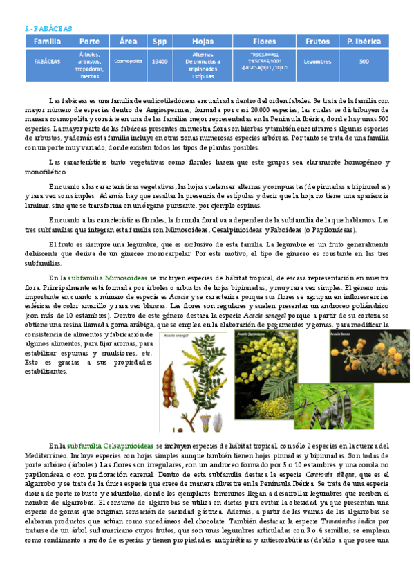 Miniatura del documento fabáceas.pdf