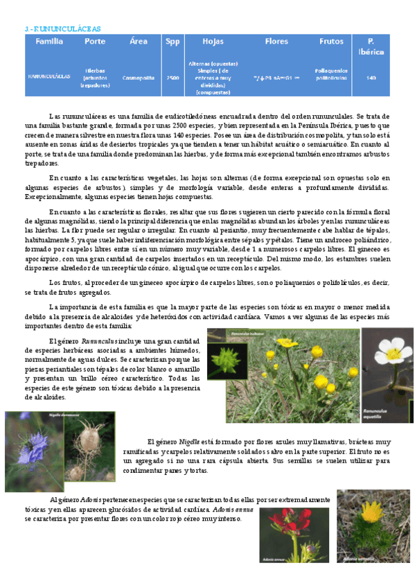 Miniatura del documento rununculáceas.pdf