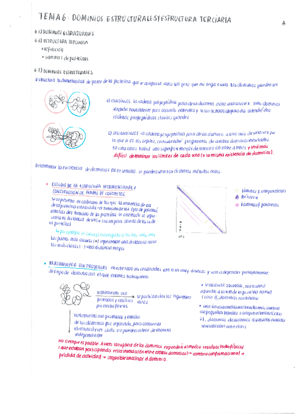 Miniatura del documento 6. Dominios estructurales y estructura terciaria.pdf