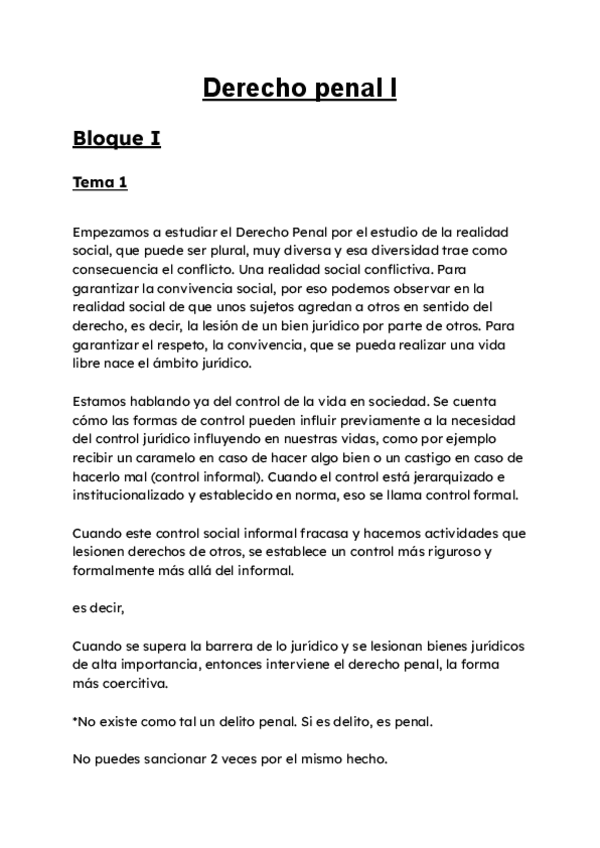 Miniatura del documento Derecho Penal I Núñez Paz apuntes muy perfeccionados.pdf