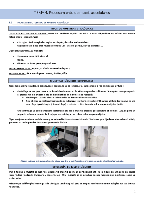 Miniatura del documento APUNTES-TEMA-4Procesamieto-de-muestras-celulares-y-tipos-de-tinciones.pdf