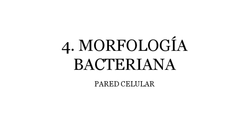 Miniatura del documento 4.-MORFOLOGIA-BACTERIANA.pdf
