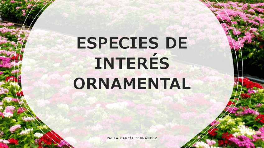 Miniatura del documento VISU-ORNAMENTALES-TODOS.pdf