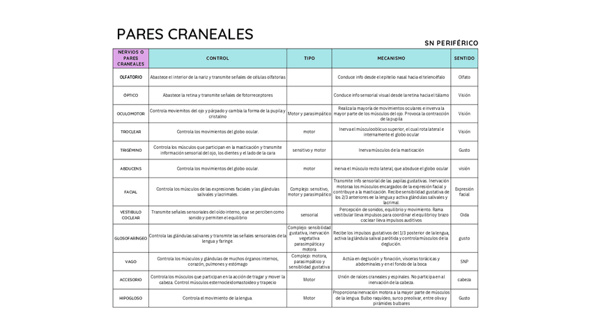 Miniatura del documento pares-craneales.pdf
