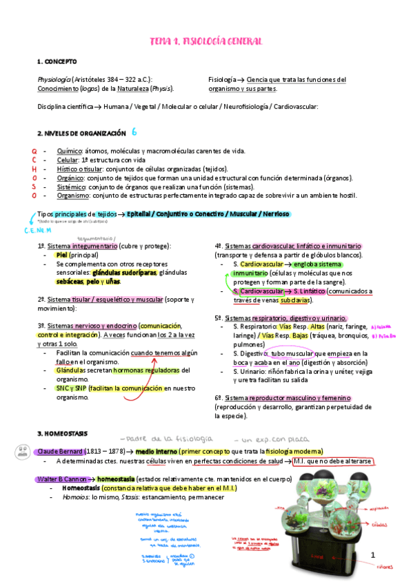 Miniatura del documento Resumen-primer-parcial-fisio-completo.pdf