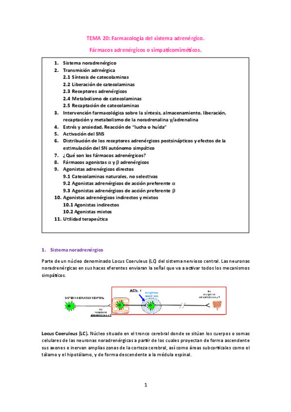 Miniatura del documento TEMA-20.pdf