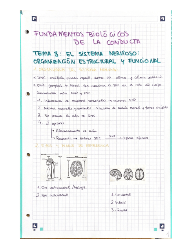 Miniatura del documento resumen-tema-3-fund-bio.pdf