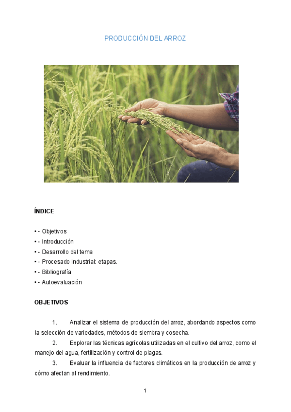 Miniatura del documento Trabajo-final-vegetal-Produccion-del-arroz.pdf