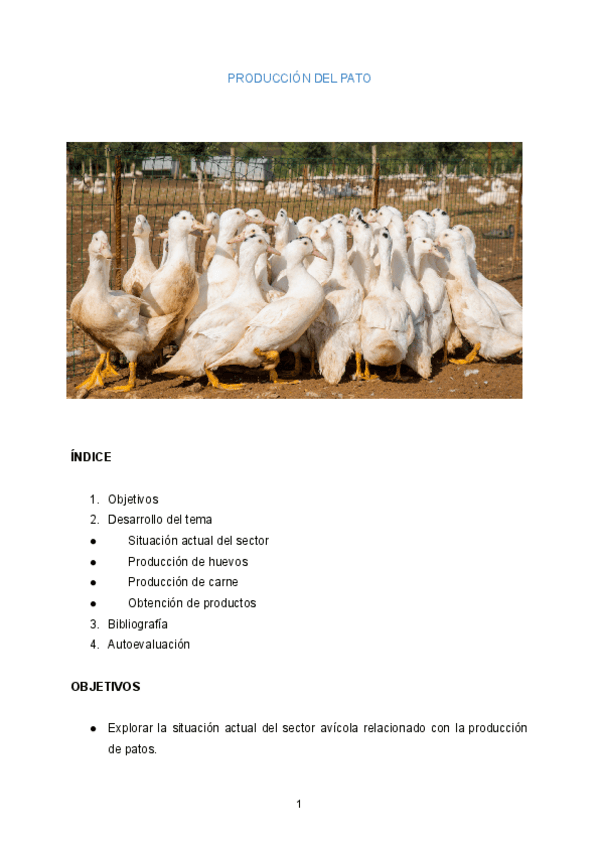 Miniatura del documento Trabajo-final-animal-Produccion-del-pato.pdf