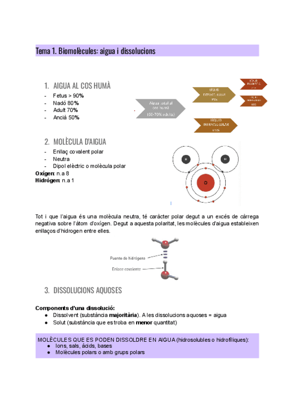 Miniatura del documento TEMA 1 BIOMOLÈCULES.pdf