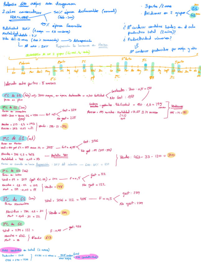 Miniatura del documento Practica-6-Ovejas.pdf