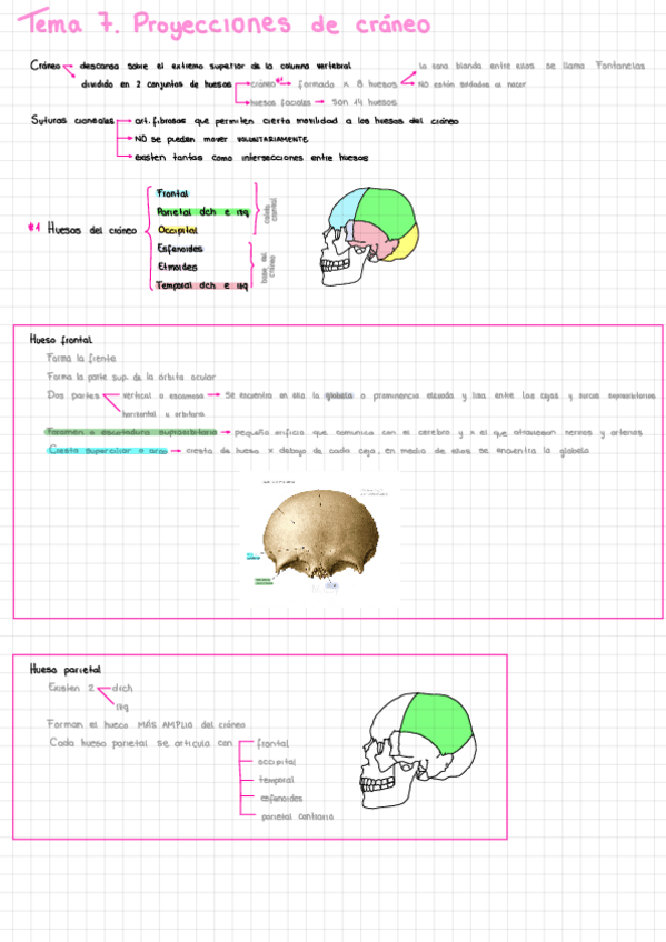 Miniatura del documento RS-Craneo.pdf