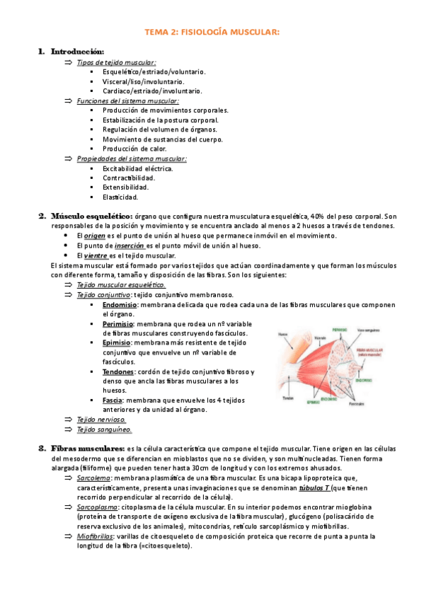 Miniatura del documento t-2-fisiologia-muscular.pdf