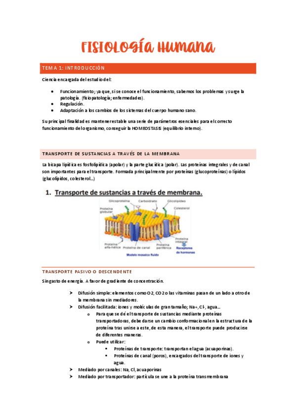 Miniatura del documento tema-1-fisiologia.pdf