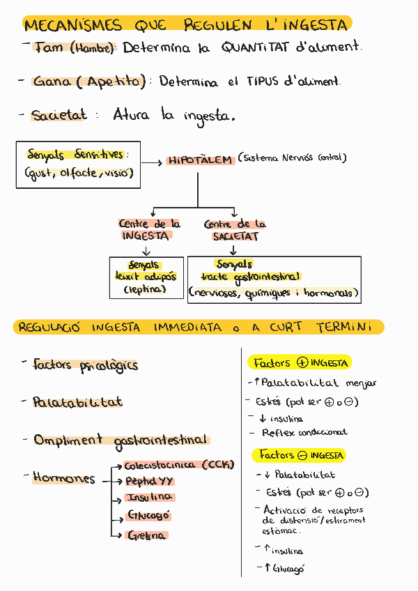 Miniatura del documento Parcial-2-2023-24-part-escrita-digestiu.pdf