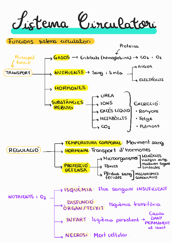 Miniatura del documento Circulatori-resum.pdf