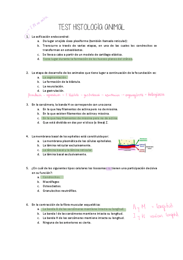 Miniatura del documento BATERIA-DE-PREGUNTAS-HISTOLOGIA-ANIMAL-CORREGIDO.pdf
