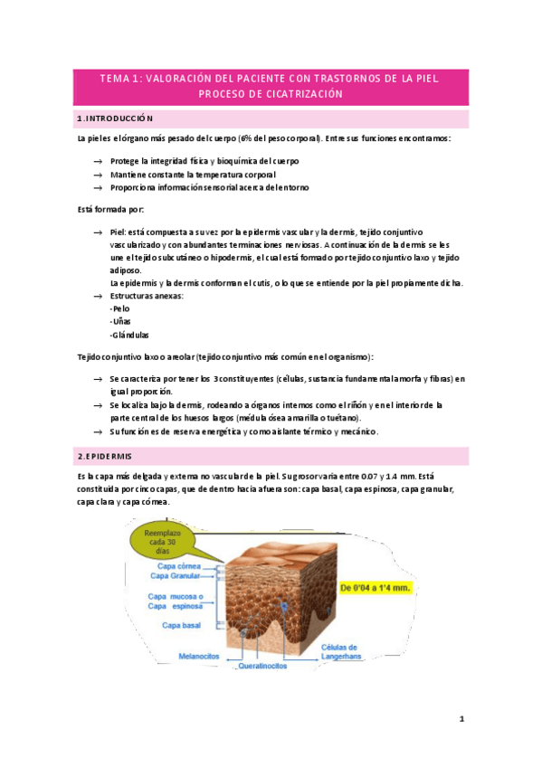 Miniatura del documento TEMA-1.pdf