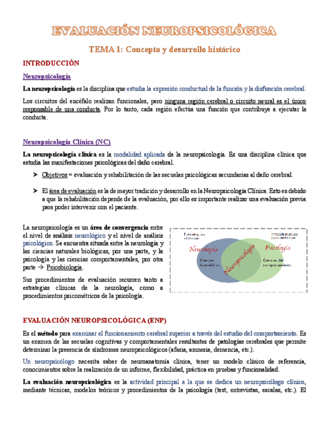 Miniatura del documento T1-Evaluacion-neuropsicologica.pdf