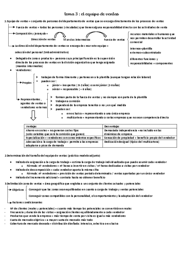 Miniatura del documento TEMA-3-EL-EQUIPO-DE-VENTAS.pdf