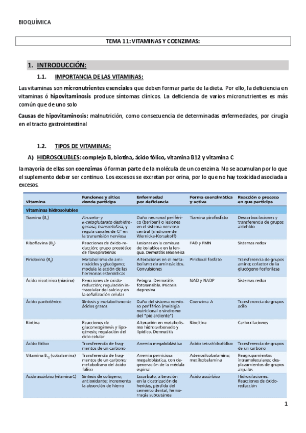Miniatura del documento TEMA-11VITAMINAS-Y-COENZIMAS.pdf