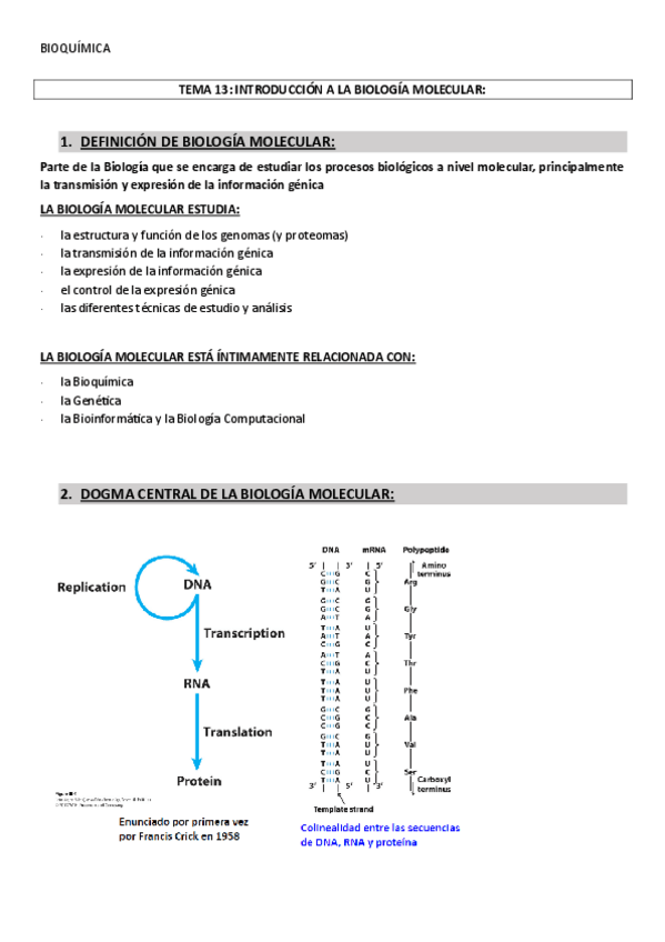 Miniatura del documento TEMA-13INTRODUCCION-A-LA-BIOLOGIA-MOLECULAR.pdf