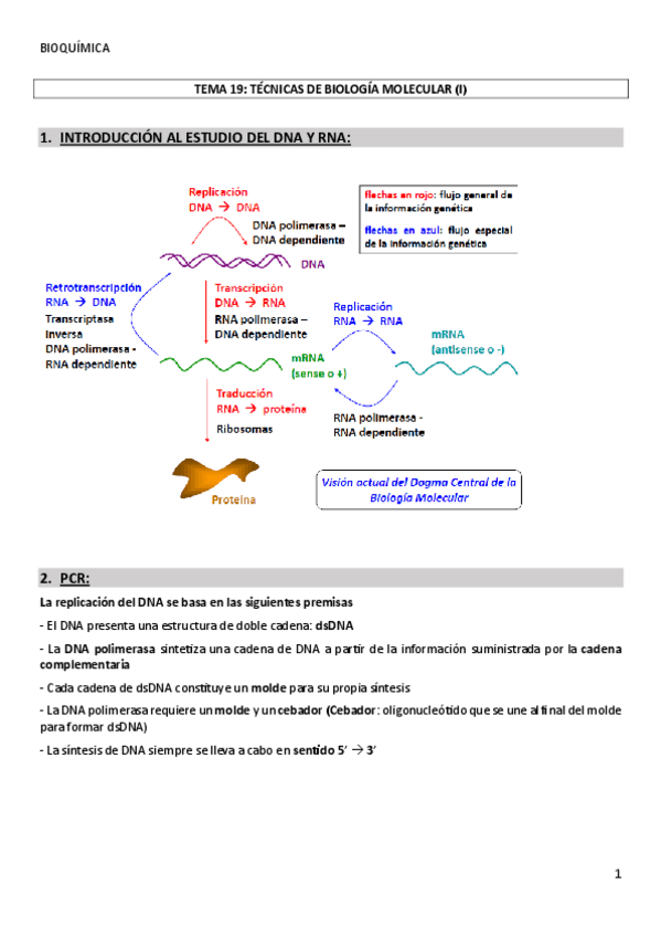 Miniatura del documento TEMA-19TECNICAS-DE-BIOLOGIA-MOLECULAR-I.pdf