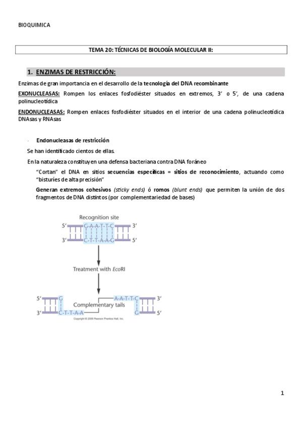 Miniatura del documento TEMA-20TECNIAS-DE-BIOLOGIA-MOLECULAR-II-CLONACION.pdf