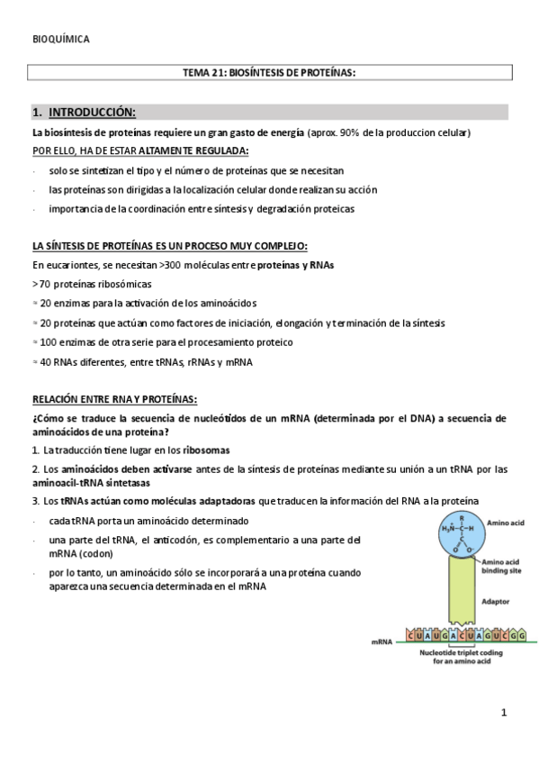 Miniatura del documento TEMA-21BIOSINTESIS-DE-PROTEINAS.pdf