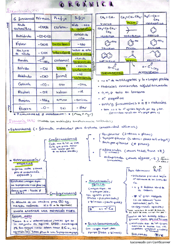 Miniatura del documento Organica-Carmen.pdf