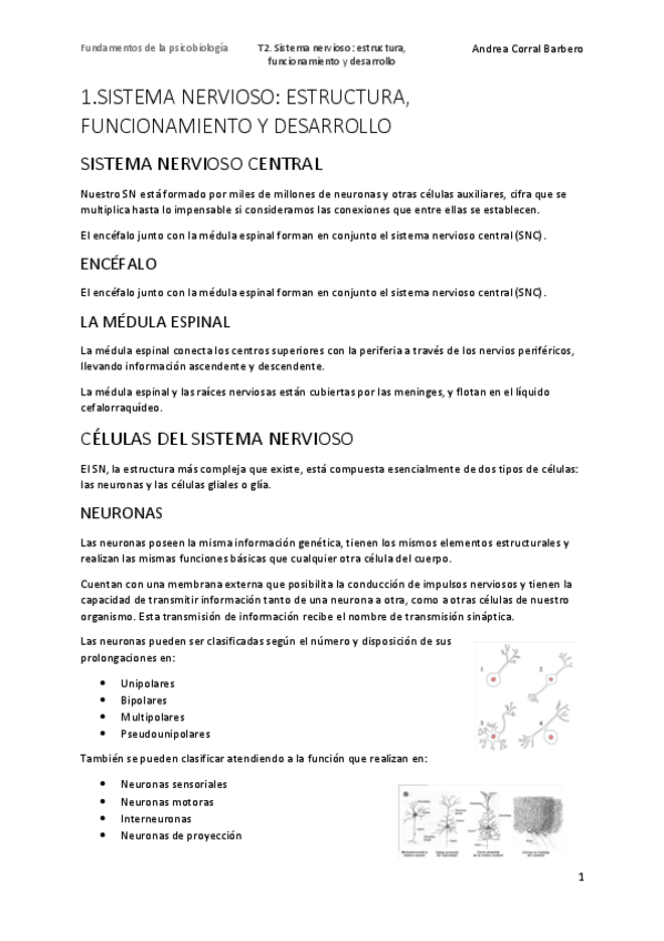 Miniatura del documento 1.-Psicobiologia.pdf