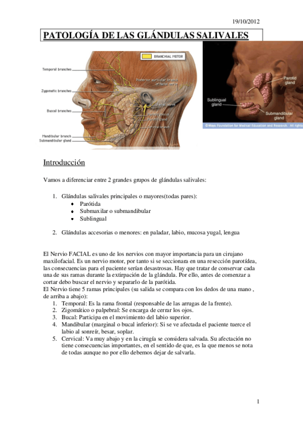 Miniatura del documento PATOLOGIA-DE-LAS-GLANDULAS-SALIVALES.pdf