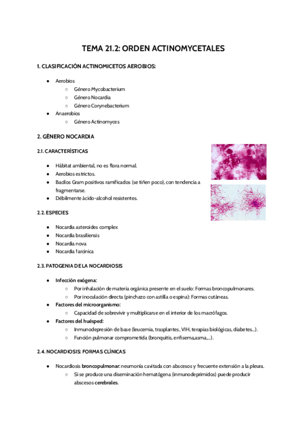 Miniatura del documento T21.2.pdf