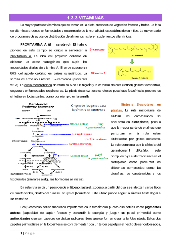 Miniatura del documento Tema-1.3.3.pdf