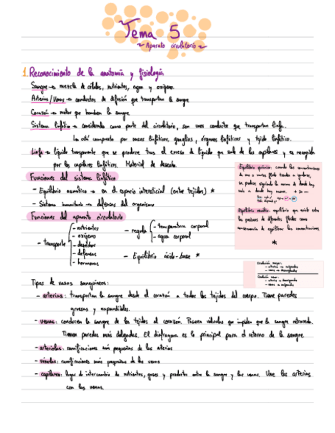 Miniatura del documento Apuntes-Anatomia-T5.pdf