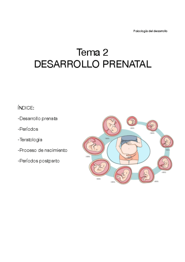 Miniatura del documento psicologia-del-desarrollo-T2.pdf