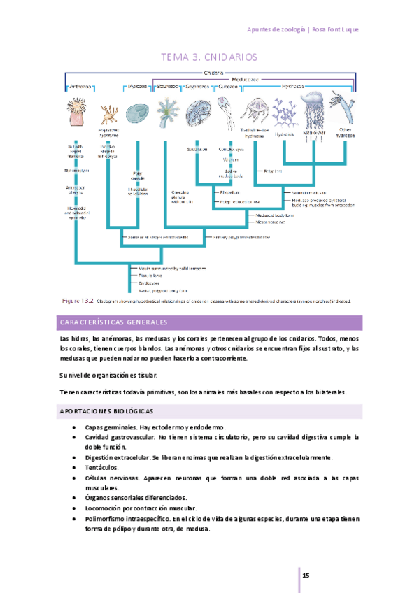 Miniatura del documento tema-3-cnidarios.pdf