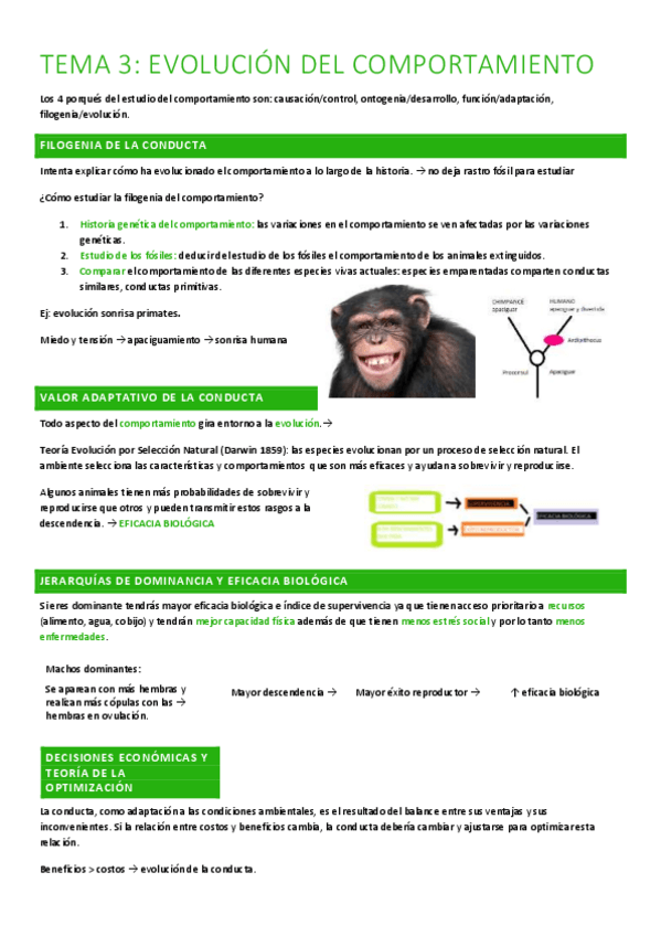 Miniatura del documento T3.-evolucion-del-comportamiento.pdf