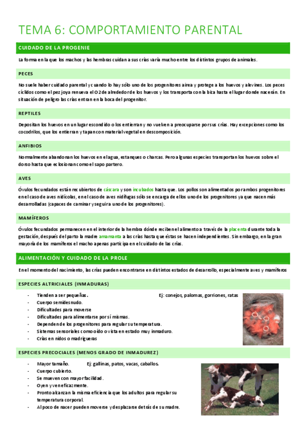 Miniatura del documento T6.-comportamiento-parental.pdf