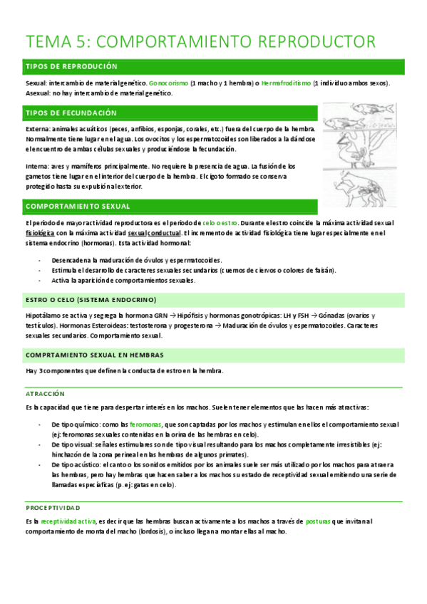 Miniatura del documento T5.comportamiento-reproductor.pdf
