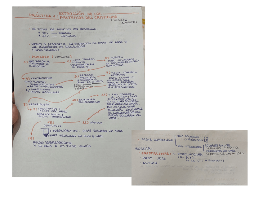 Miniatura del documento PRACTICAS-RESUELTAS.pdf