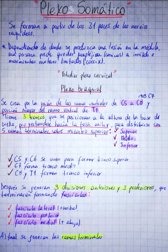 Miniatura del documento Clase-6-Plexos-somaticos.pdf