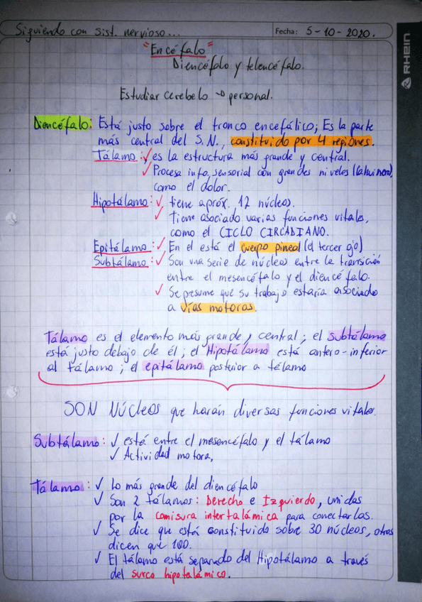 Miniatura del documento Clase-7-continuacion-sistema-nervioso.pdf