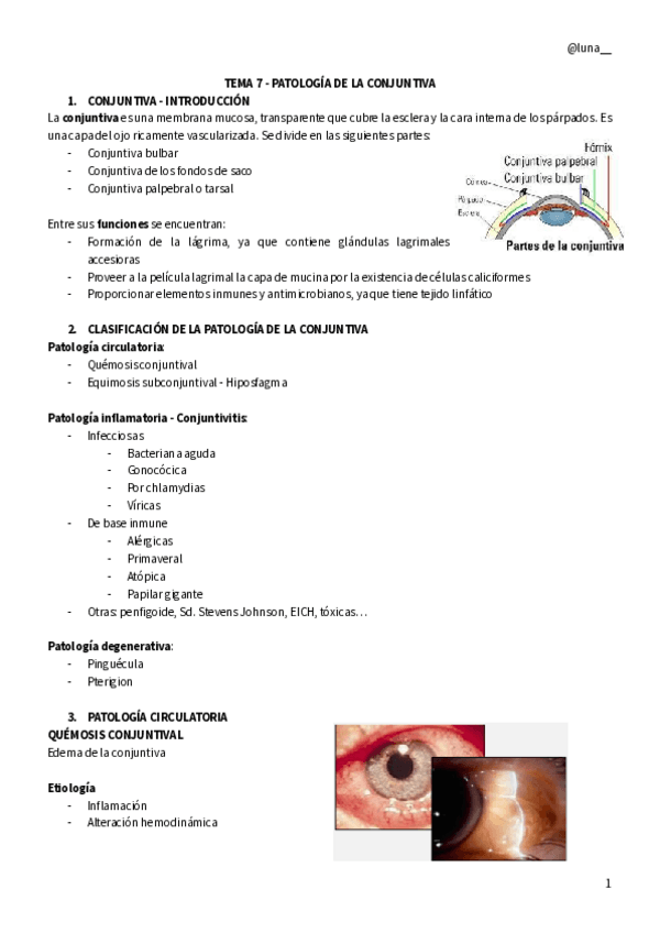 Miniatura del documento PATOLOGIA-DE-LA-CONJUNTIVA.pdf
