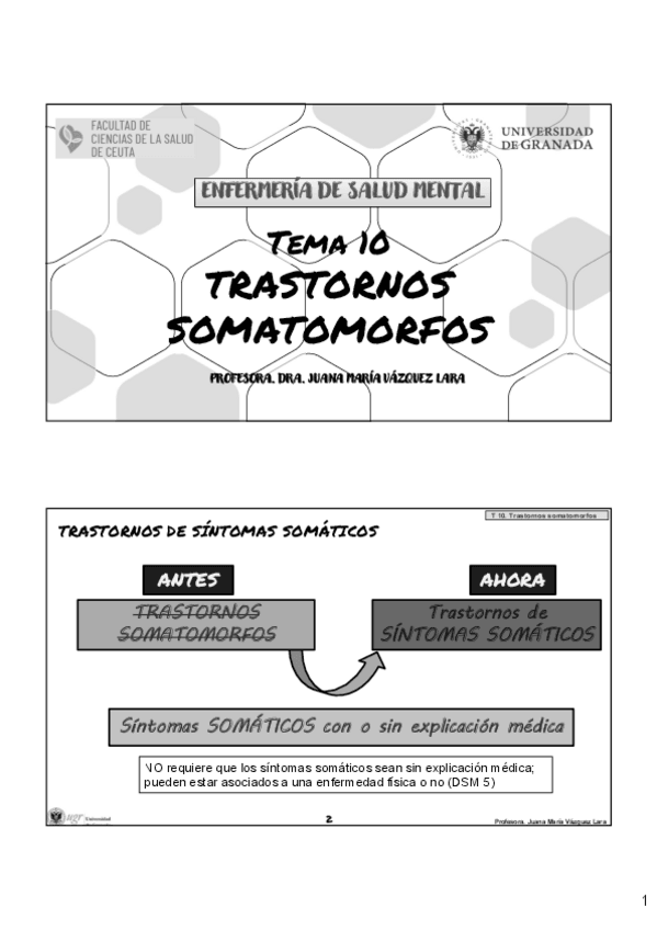 Miniatura del documento TEMA-10-SALUD-MENTAL.pdf