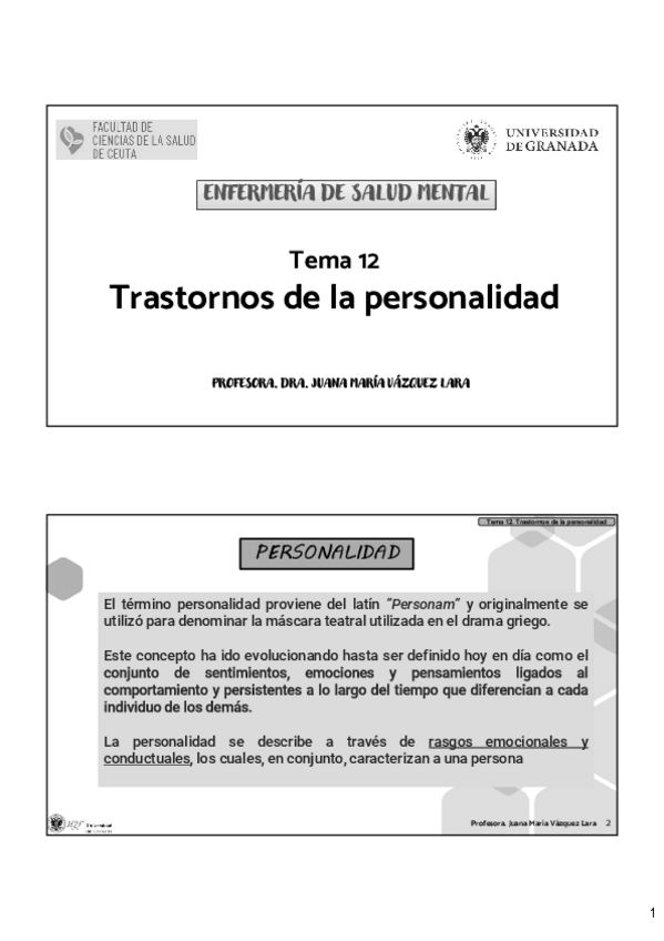 Miniatura del documento TEMA-12-SALUD-MENTAL.pdf