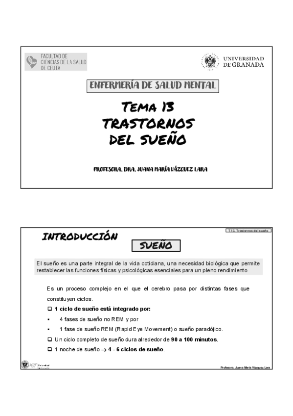 Miniatura del documento TEMA-13-SALUD-MENTAL.pdf