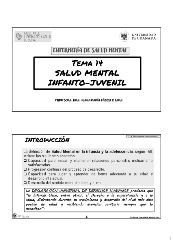 Miniatura del documento TEMA-14-SALUD-MENTAL.pdf