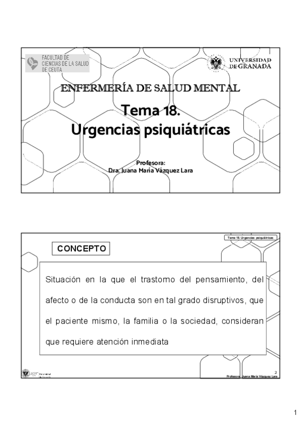 Miniatura del documento TEMA-18-SALUD-MENTAL.pdf
