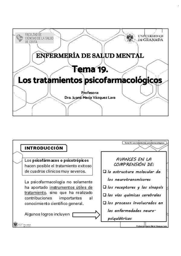 Miniatura del documento TEMA-19-SALUD-MENTAL.pdf